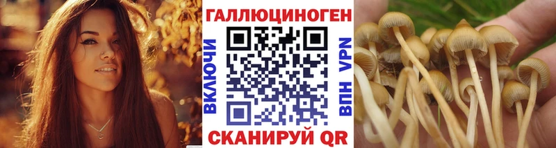 Галлюциногенные грибы ЛСД  блэк спрут ССЫЛКА  Лесозаводск 